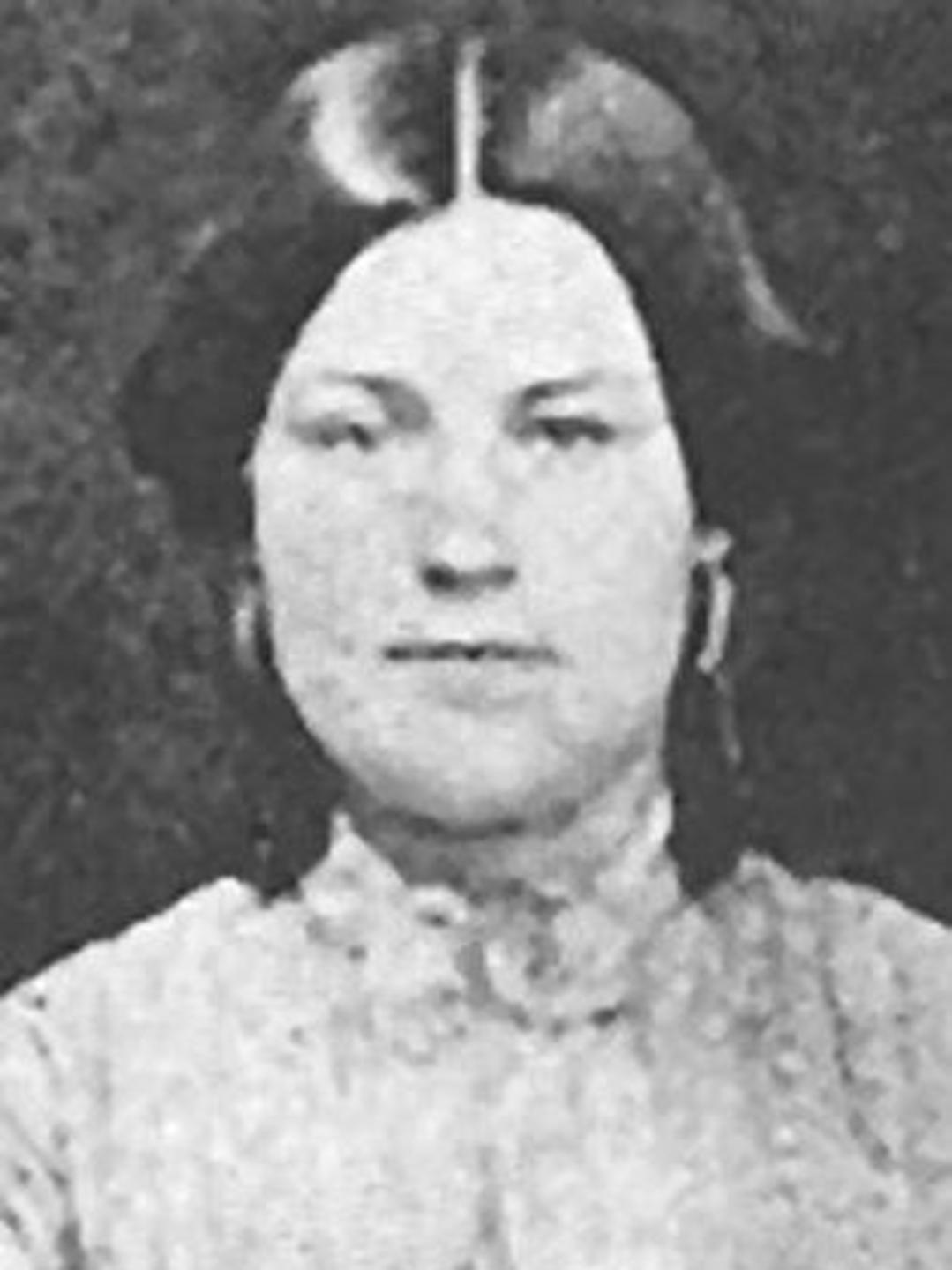 Jemima Hough (1834 - 1917) Profile